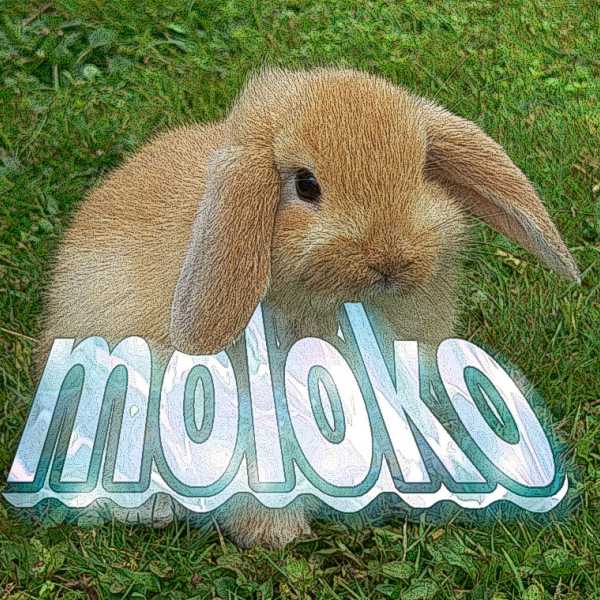 Profile picture for user Moloko